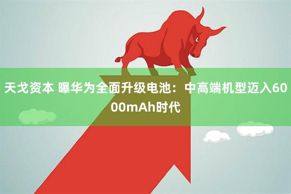 天戈资本 曝华为全面升级电池：中高端机型迈入6000mAh时代