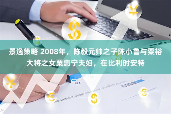 景逸策略 2008年，陈毅元帅之子陈小鲁与粟裕大将之女粟惠宁夫妇，在比利时安特
