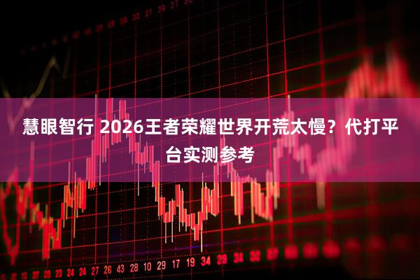 慧眼智行 2026王者荣耀世界开荒太慢？代打平台实测参考