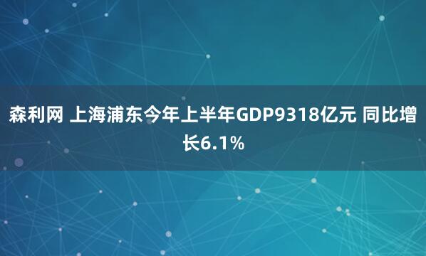 森利网 上海浦东今年上半年GDP9318亿元 同比增长6.1%
