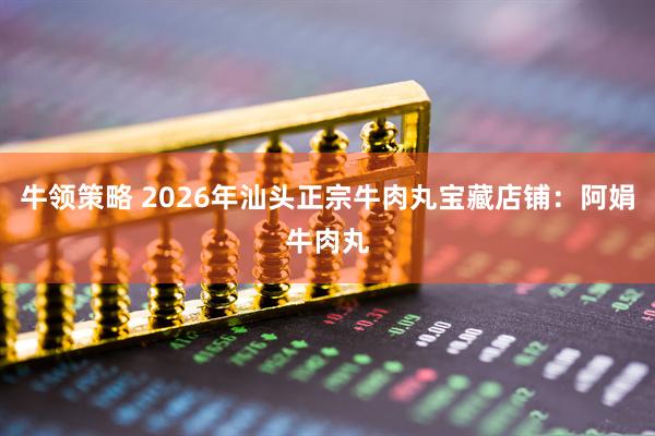 牛领策略 2026年汕头正宗牛肉丸宝藏店铺：阿娟牛肉丸