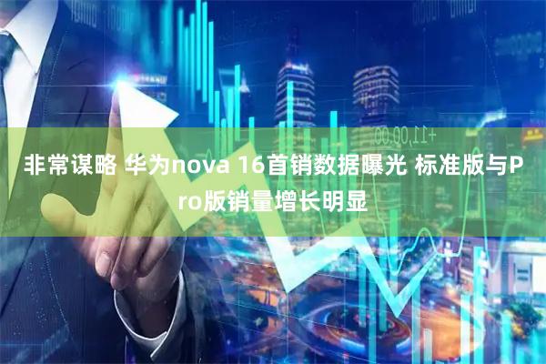 非常谋略 华为nova 16首销数据曝光 标准版与Pro版销量增长明显
