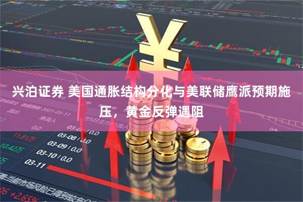 兴泊证券 美国通胀结构分化与美联储鹰派预期施压，黄金反弹遇阻