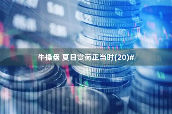 牛操盘 夏日赏荷正当时(20)#